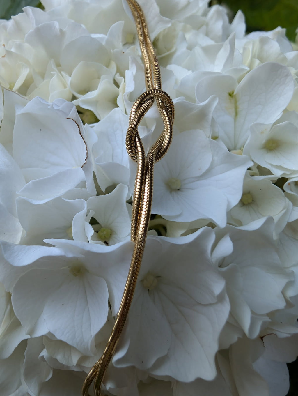 Love knot armbånd - guld
