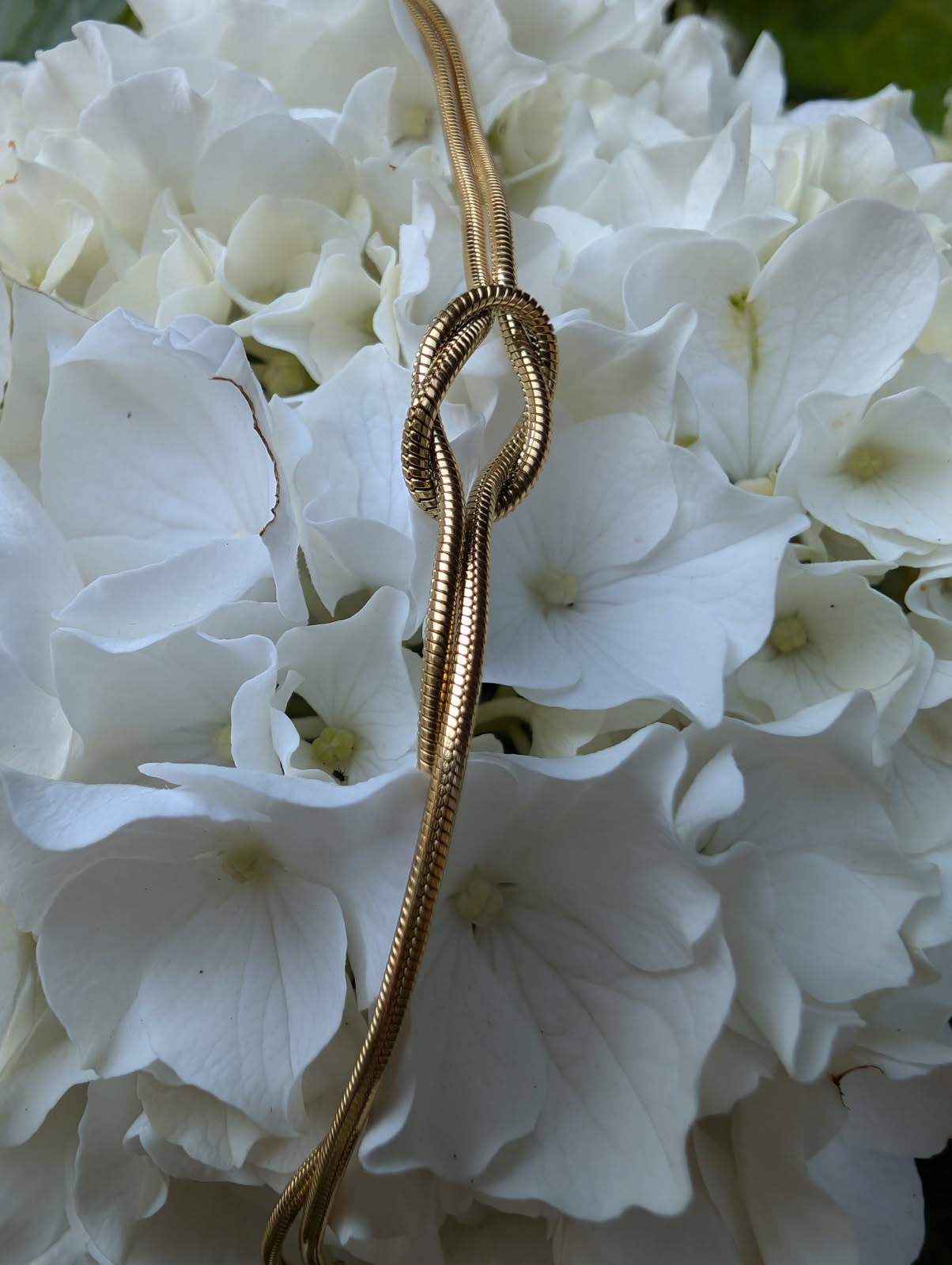 Love knot armbånd - guld